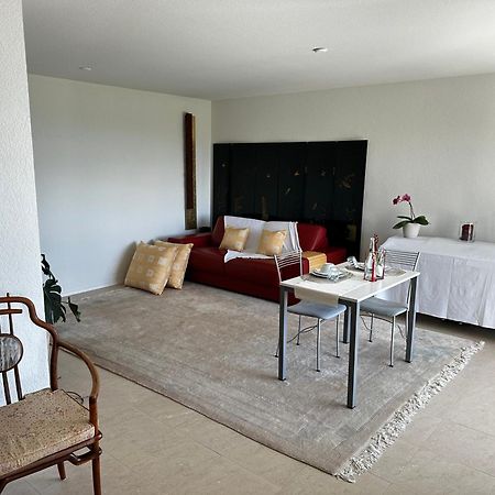Lakeview Apartment-Lavaux Grandvaux Екстериор снимка
