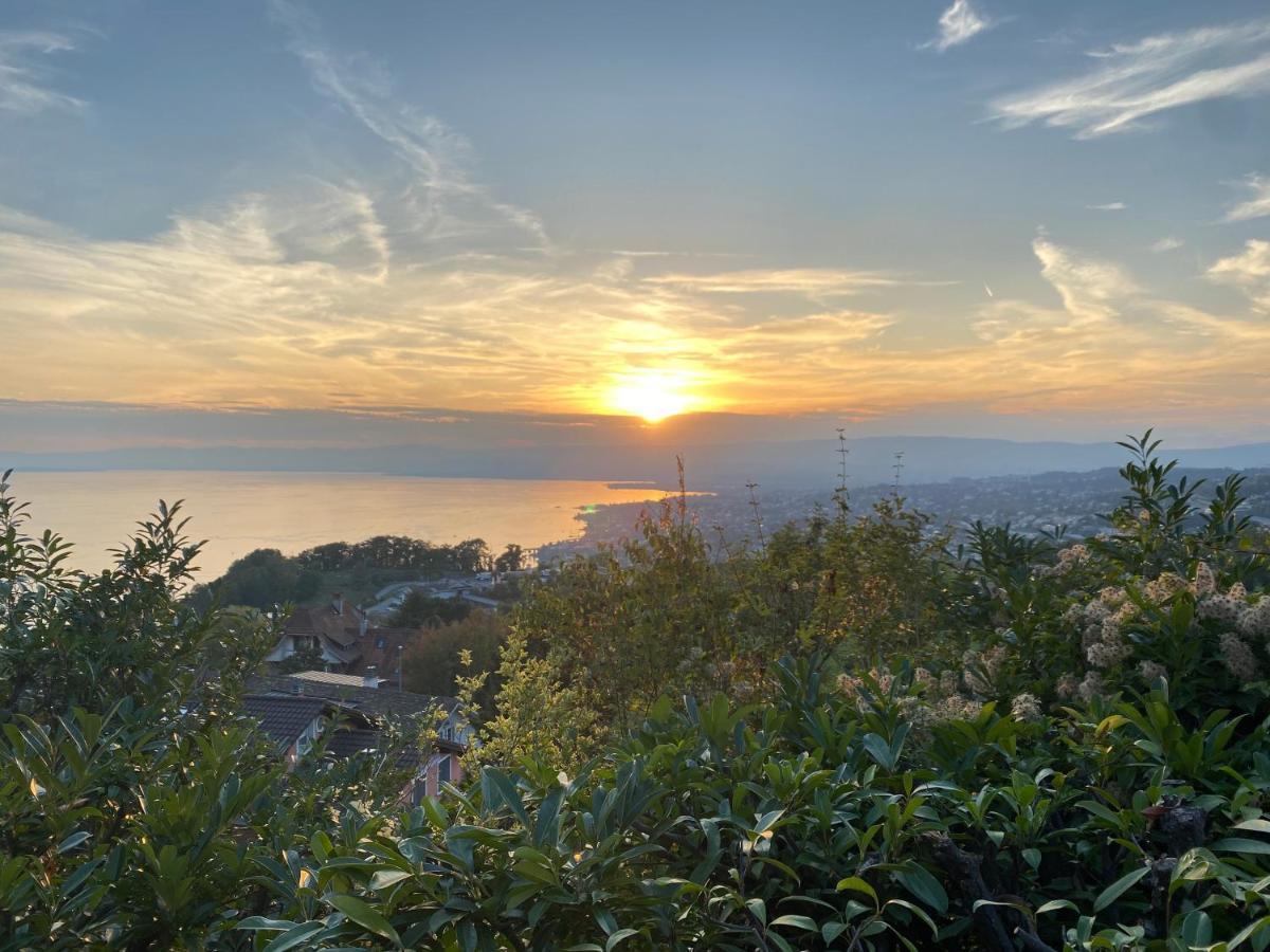 Lakeview Apartment-Lavaux Grandvaux Екстериор снимка